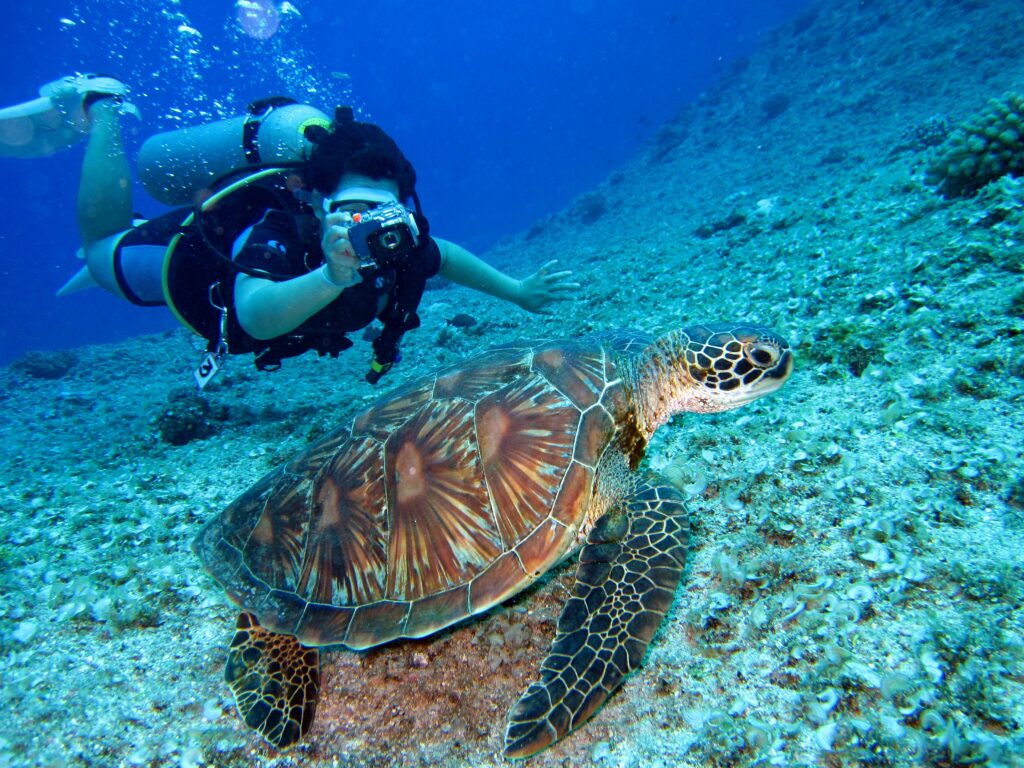 snorkeling mirissa
