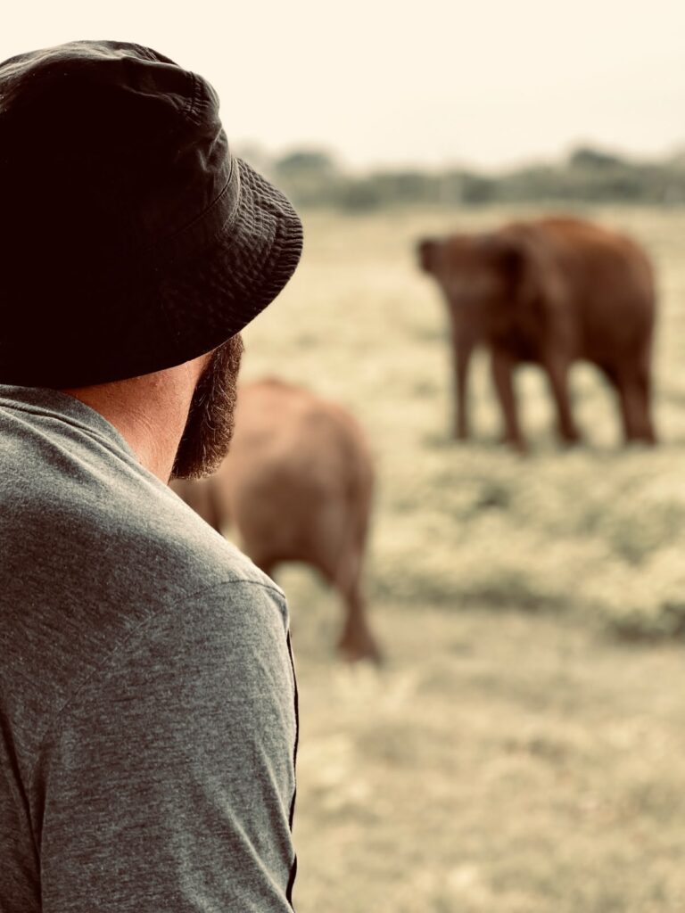 wild safari sri lanka