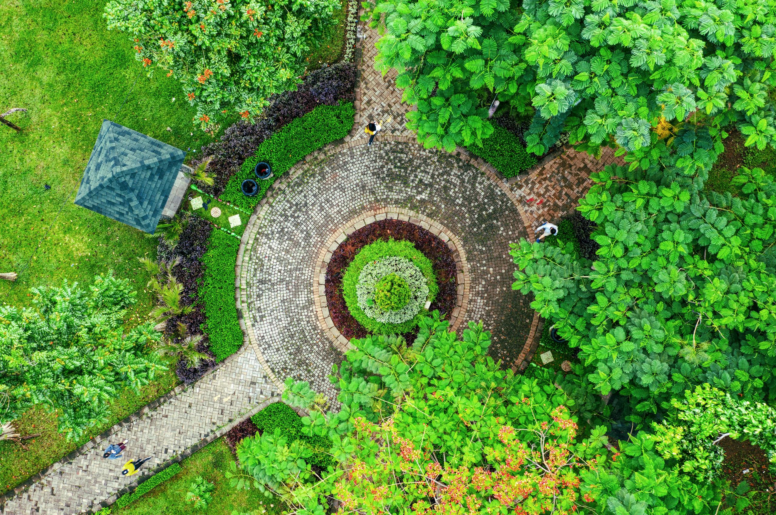 Viharamahadevi Park – Green Escape in the City colombo