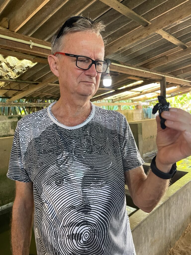 turtle
